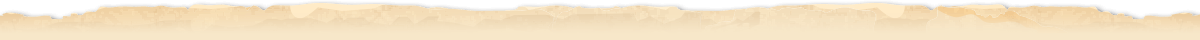 (decorative paper top)