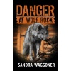 Danger at Wolf Rock